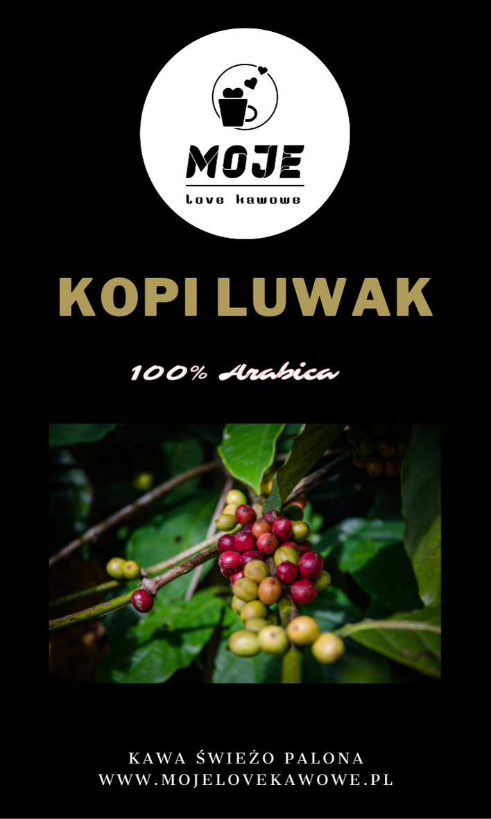 Kawa Kopi Luwak Sumatra- certyfikat ziarnista 200g.