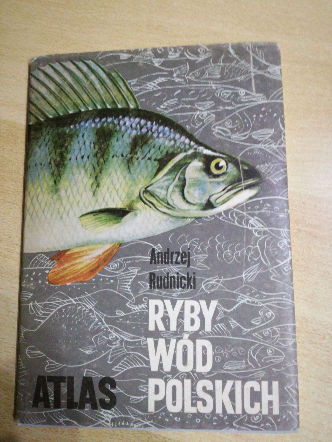 Książka  Ryby wód polskich - Atlas.